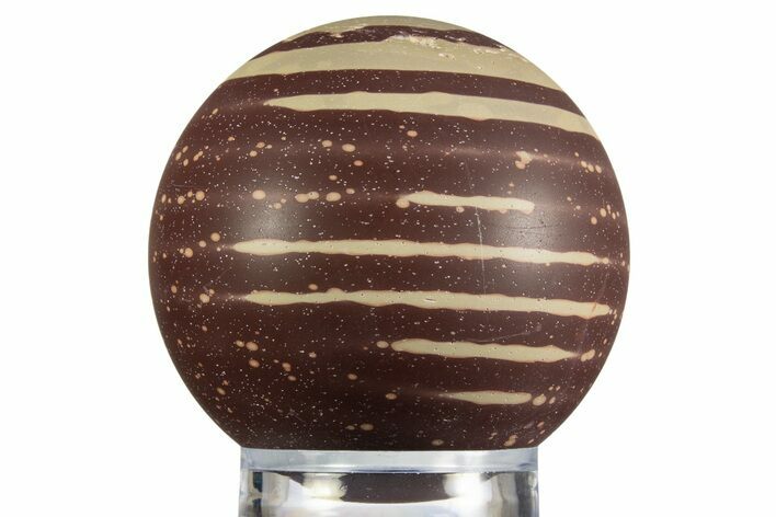 Polished Zebra Stone (Ediacaran Microbialite?) Sphere #330174